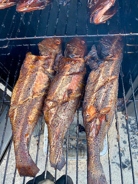 Croaker